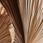 Feuille de palmier utilisée comme matière accent pour des composition de décoration d'intérieur par l'architecte d'intérieur Annecy Bomea Studio